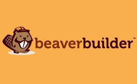 Black Friday/Cyber Monday 2022 – 50% OFF all Ultimate Beaver plans!