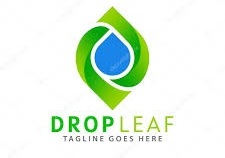 Dropleaf.io coupon codes