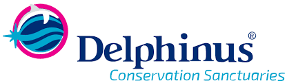 Cyber Monday Deals!! SAVE Up TO 40% OFF Storewide At Delphinusworld!!